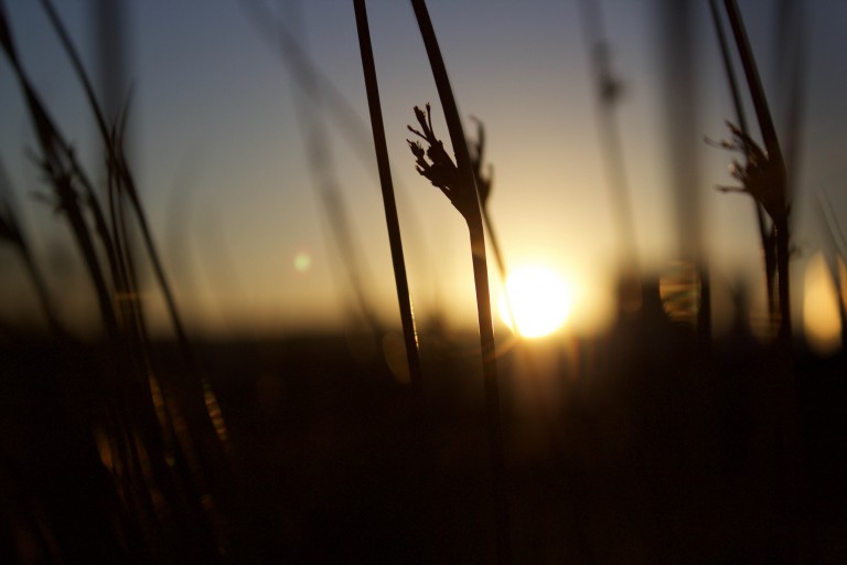 ABCS Weekly Devotional Reaping a Harvest Arizona Baptist Children's